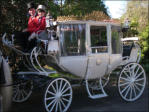 John & Ebony Aboard Our Cinderella Carriage