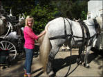 Cheryle Braiding The Tail Of One Of Our Beautiful Horses