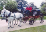 Barouche Carriage