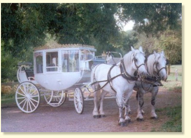 Cinderella Carriage