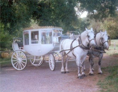 Cinderella Carriage