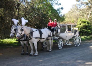 Cinderella Carriage