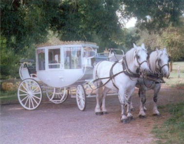 Cinderella Carriage