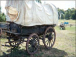 Covered Wagon
