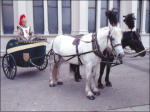 Chariot