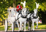 Cinderella Carriage