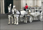 Cinderella Carriage