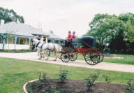 Barouche Carriage